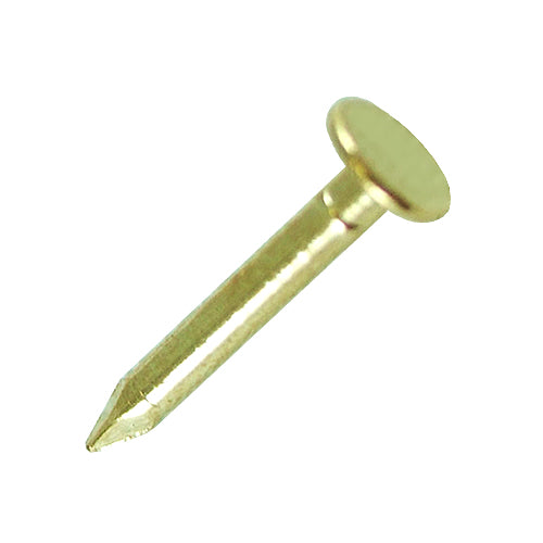 Iron Nail Flat Head 12mm- Bronze Gold- YN121YG