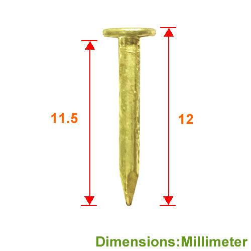 Iron Nail Flat Head 12mm- Bronze Gold- YN121YG