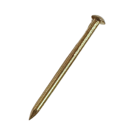 Copper nail half round head 25mm-brass-YN625BZ